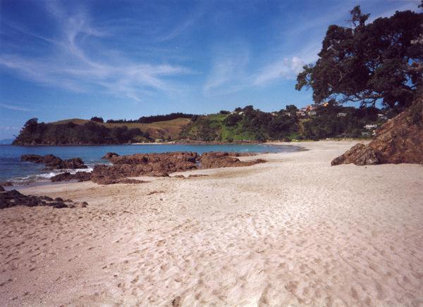 Supacute Character Cottage, Wifi, Sky Tv, Spa Bath, Spa Bath, Dble Kayak And Possibly A Car! Palm Beach 외부 사진
