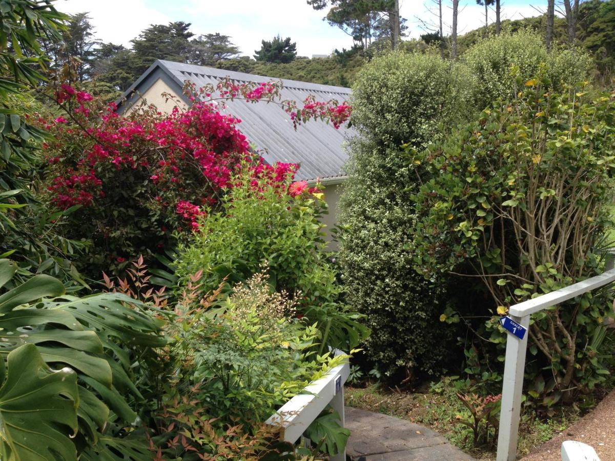 Supacute Character Cottage, Wifi, Sky Tv, Spa Bath, Spa Bath, Dble Kayak And Possibly A Car! Palm Beach 외부 사진