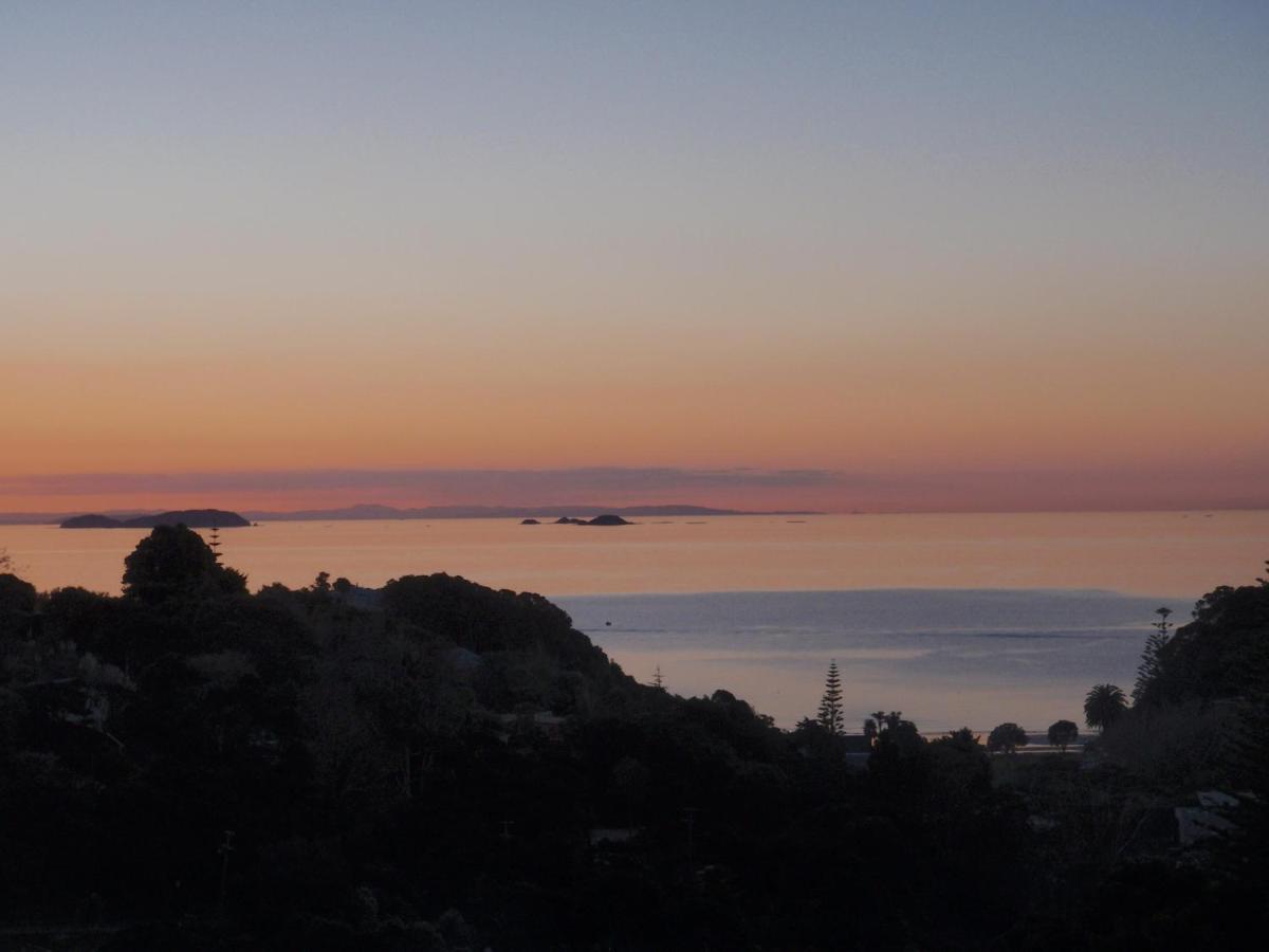 Supacute Character Cottage, Wifi, Sky Tv, Spa Bath, Spa Bath, Dble Kayak And Possibly A Car! Palm Beach 외부 사진